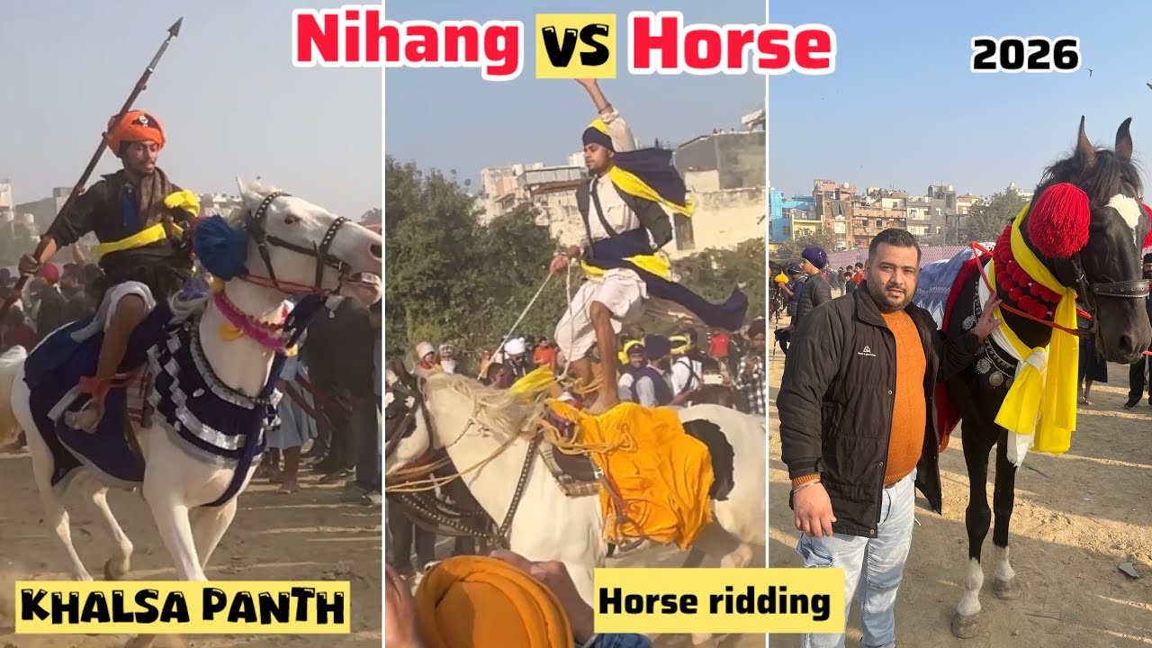 Nihang VS Horse 🐎 | Nihang Stunt On Horse | KHALSA | Hola Mohalla | Must Watch This Video 😊🙏🏻