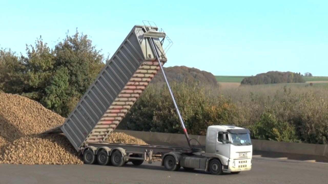 FRANCE SUGAR BEET TRUCKS OCT 2016