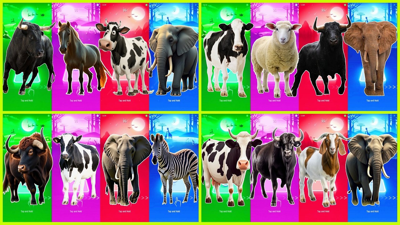 Funny Ferdinand 🆚 Funny Rhino 🆚 Funny Sheep  🆚 Funny Wolf 🆚 Tiles Hop EDM Rush