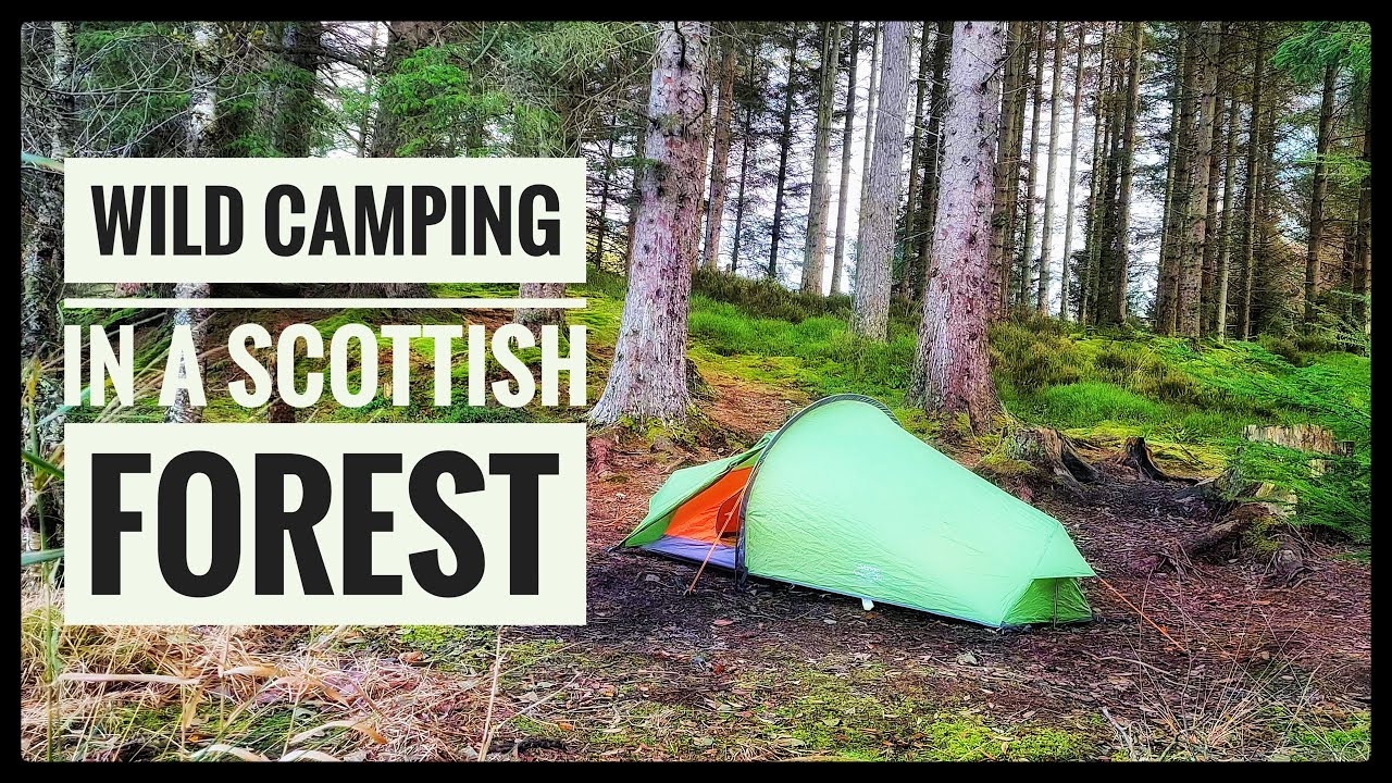 Wild Camping in a Scottish Forest | Backpacking in The Trossachs National Park