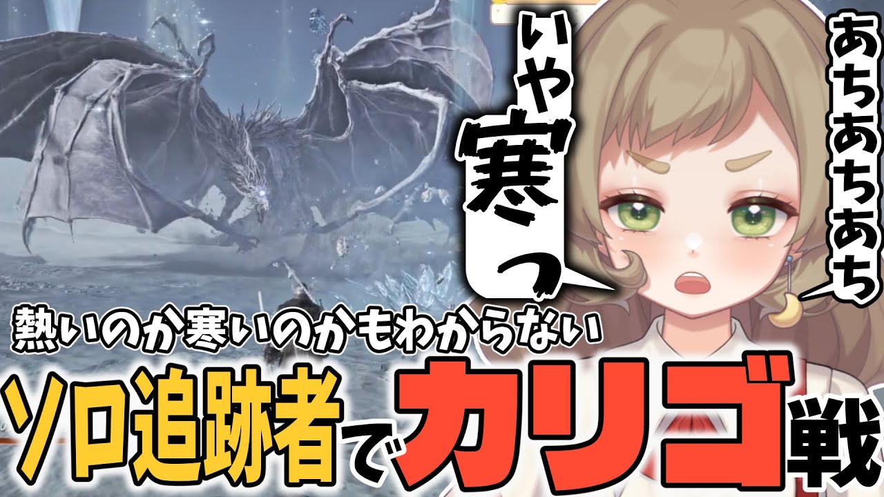 熱い展開も一瞬で冷ますカリゴにソロ追跡者で挑む夜【ナイトレイン/ELDEN RING NIGHTREIGN/切り抜き】