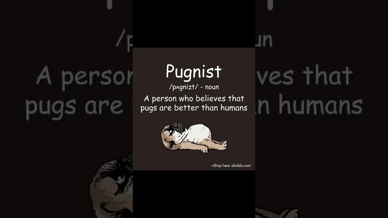 Im a pug person 