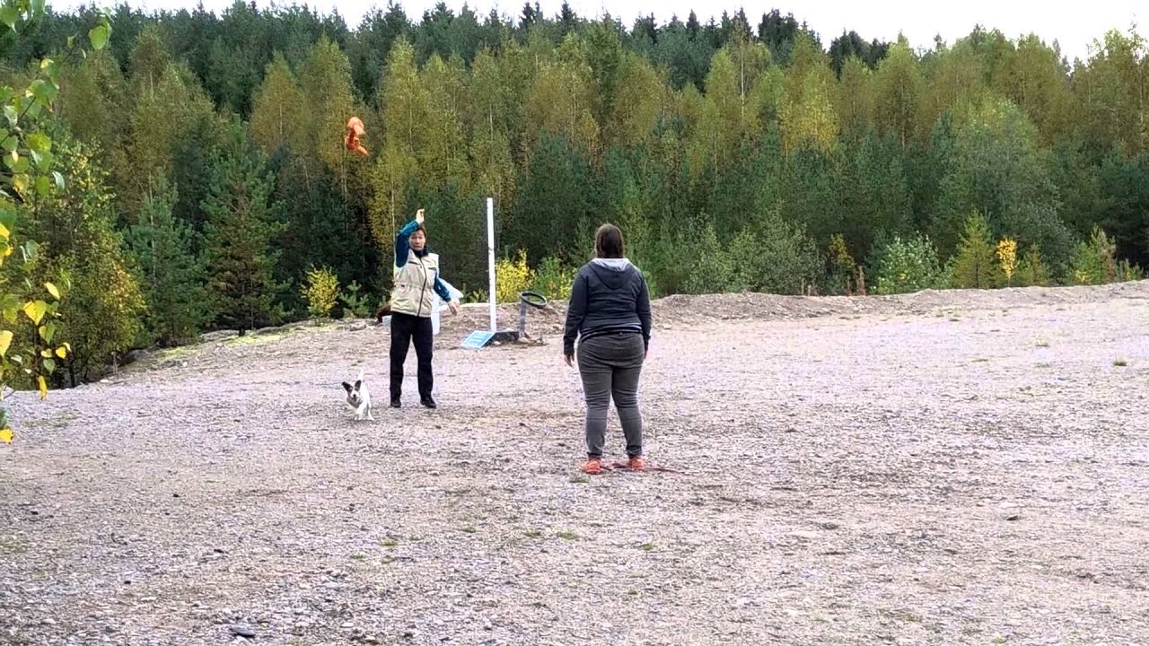 Koston MH-luonnekuvaus: Leikki 2 ja Ampuminen