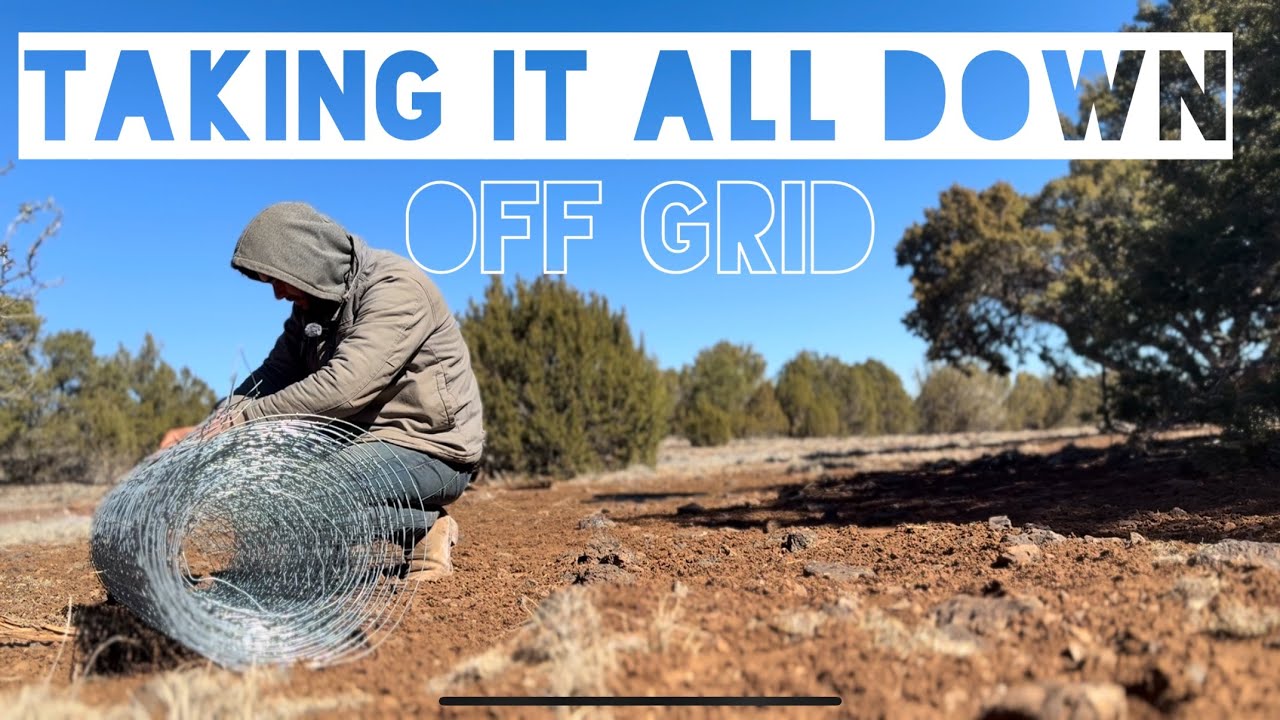 This Hurts: Taking Down Our Homestead
