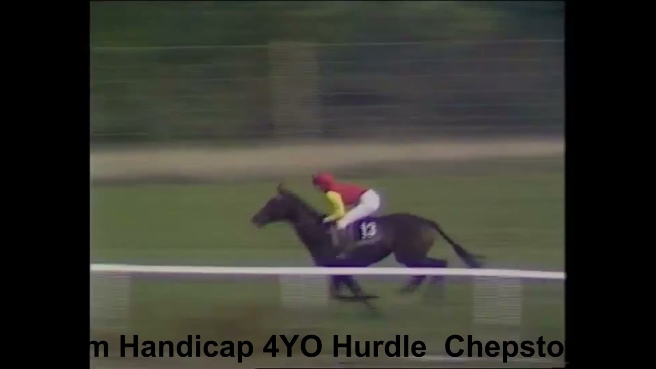 1988 Timeform Free 4YO Handicap Hurdle Chepstow.
