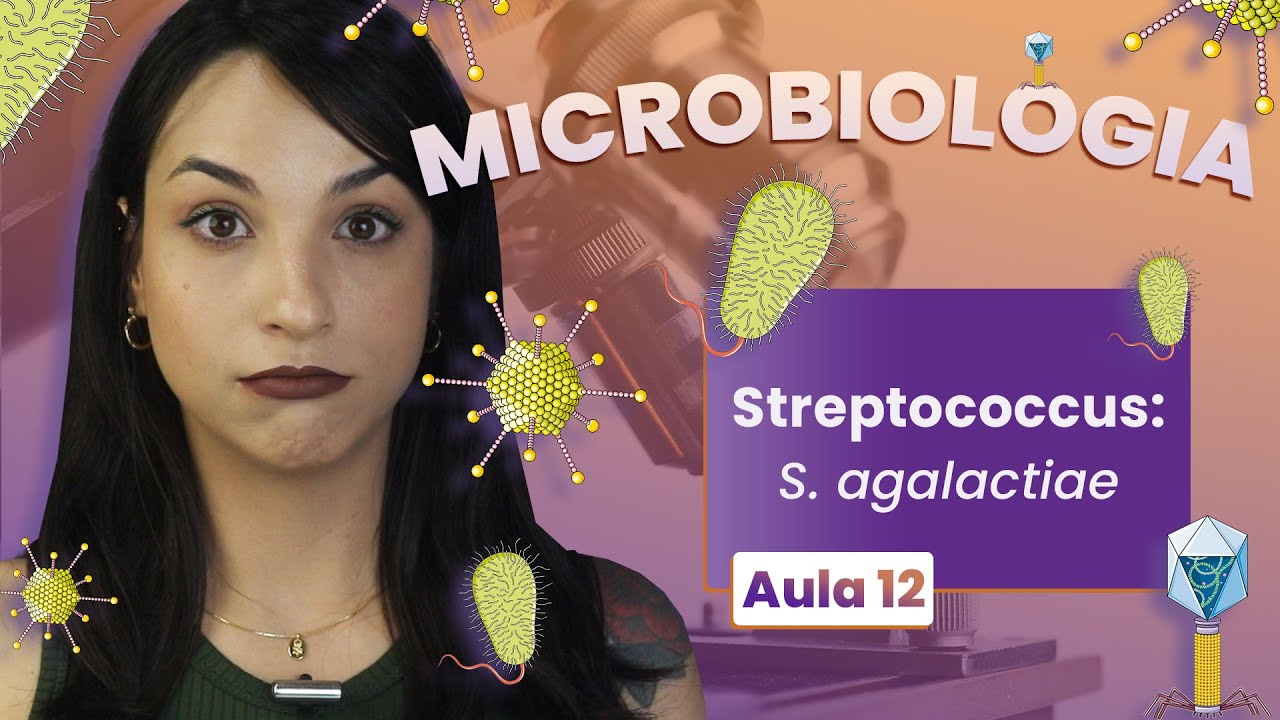 STREPTOCOCCUS: S.agalactiae | Videoaula | Microbiologia | Flavonoide #12