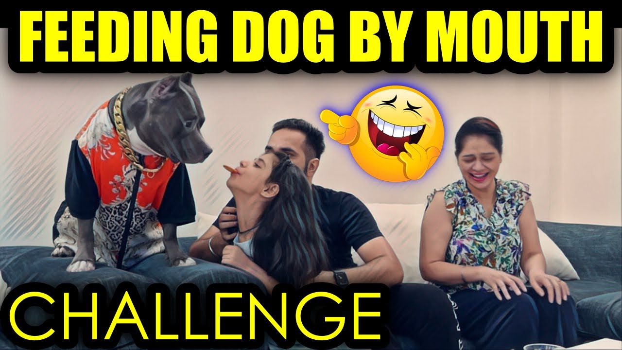 Feeding Our Dog by Mouth | Brody an American Bully  | Funny Challenge | Harpreet SDC