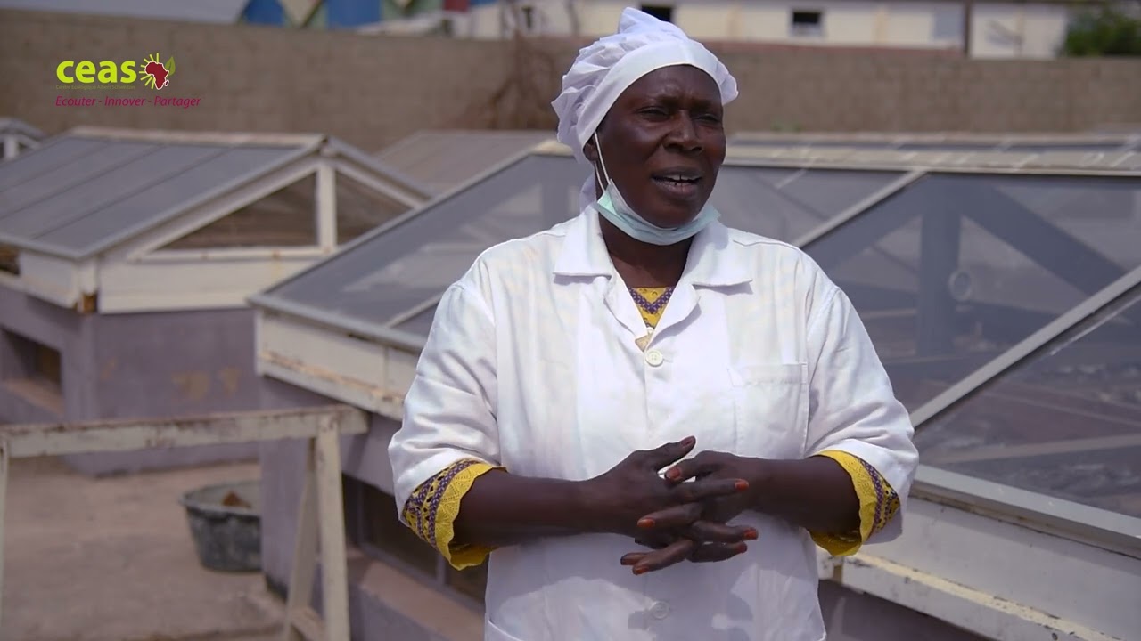 Terre et Mer : les transformatrices de poisson du Sénégal s'organisent