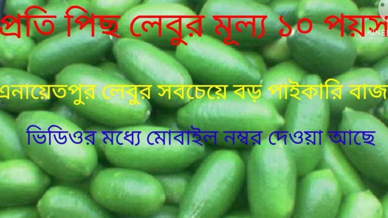 লেবুর পাইকারি বাজার এনায়েতপুর  ফুলবাড়িয়া - ময়মনসিংহ