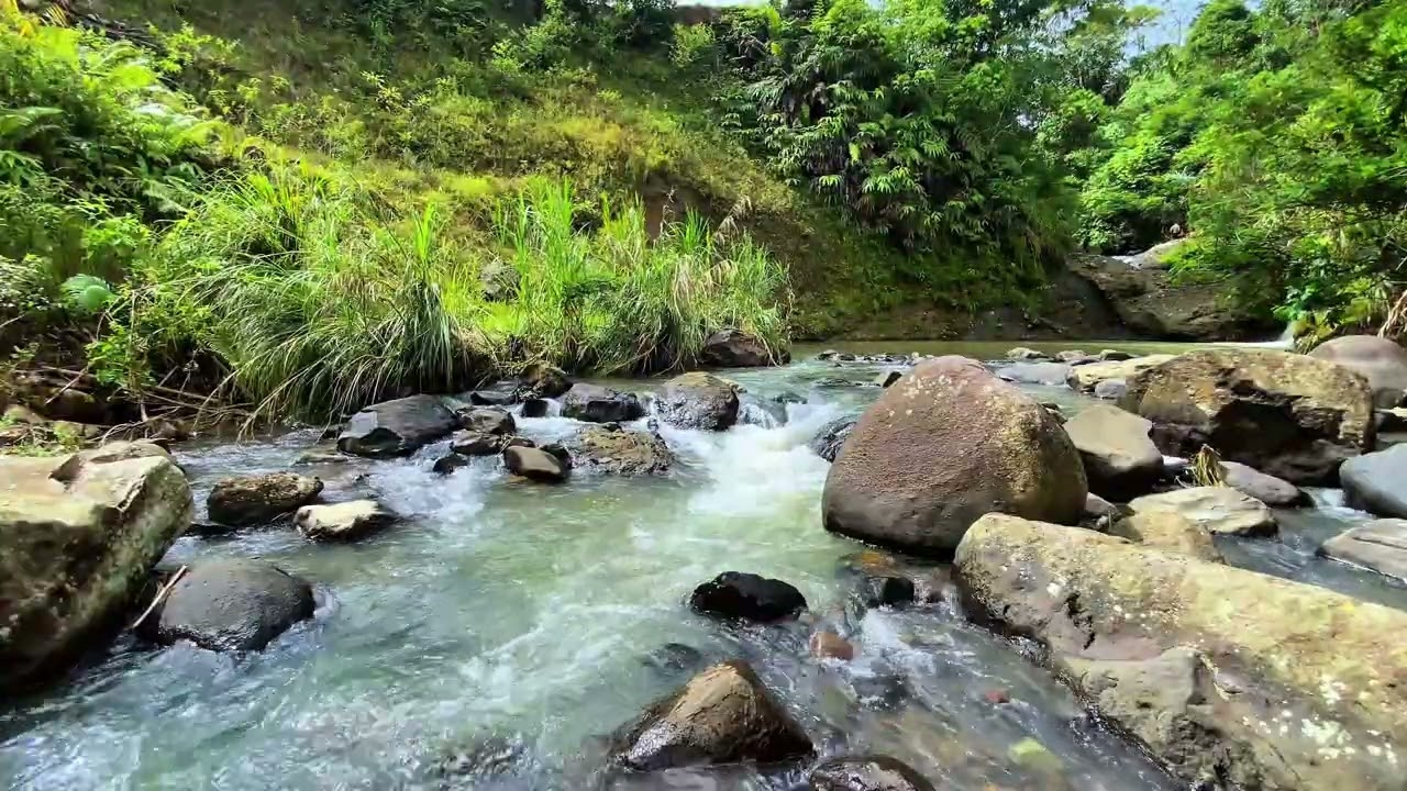 🌿 Relax Instantly | Serene Stream Flowing Between Natural Stones