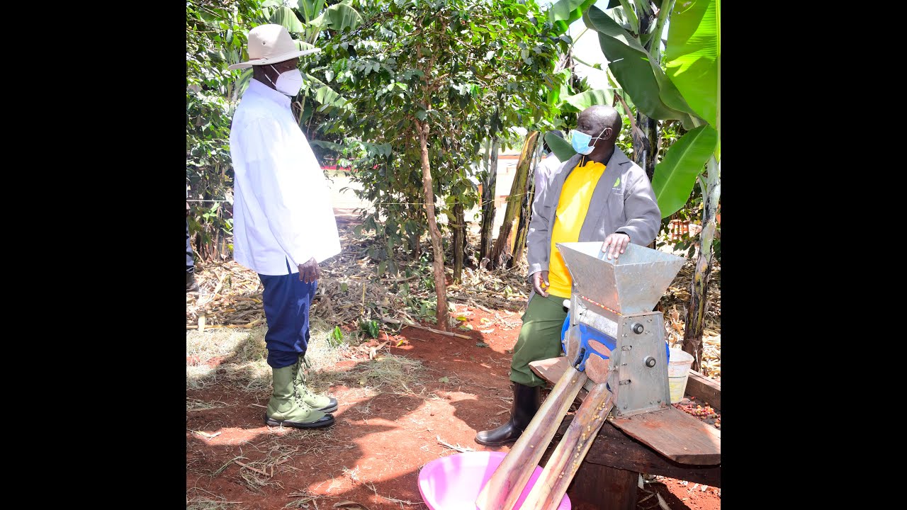 MUSEVENI APPLAUDS SEBEI FARMERS FOR PROGRESS IN ADOPTING FOUR-ACRE MODEL STRATEGY #trending #video