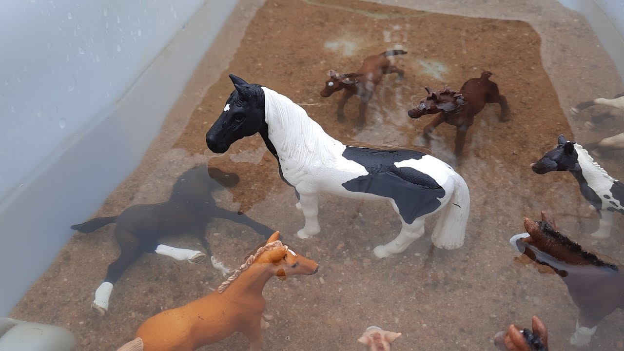 IM FREIBAD! #3 | Fohlenschule Schleich Serie Folge 7