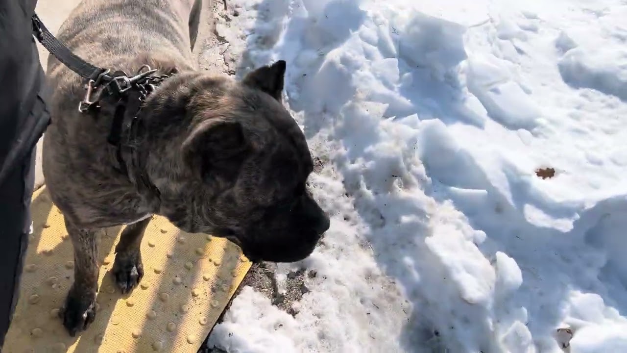 Rocky Update Saturday