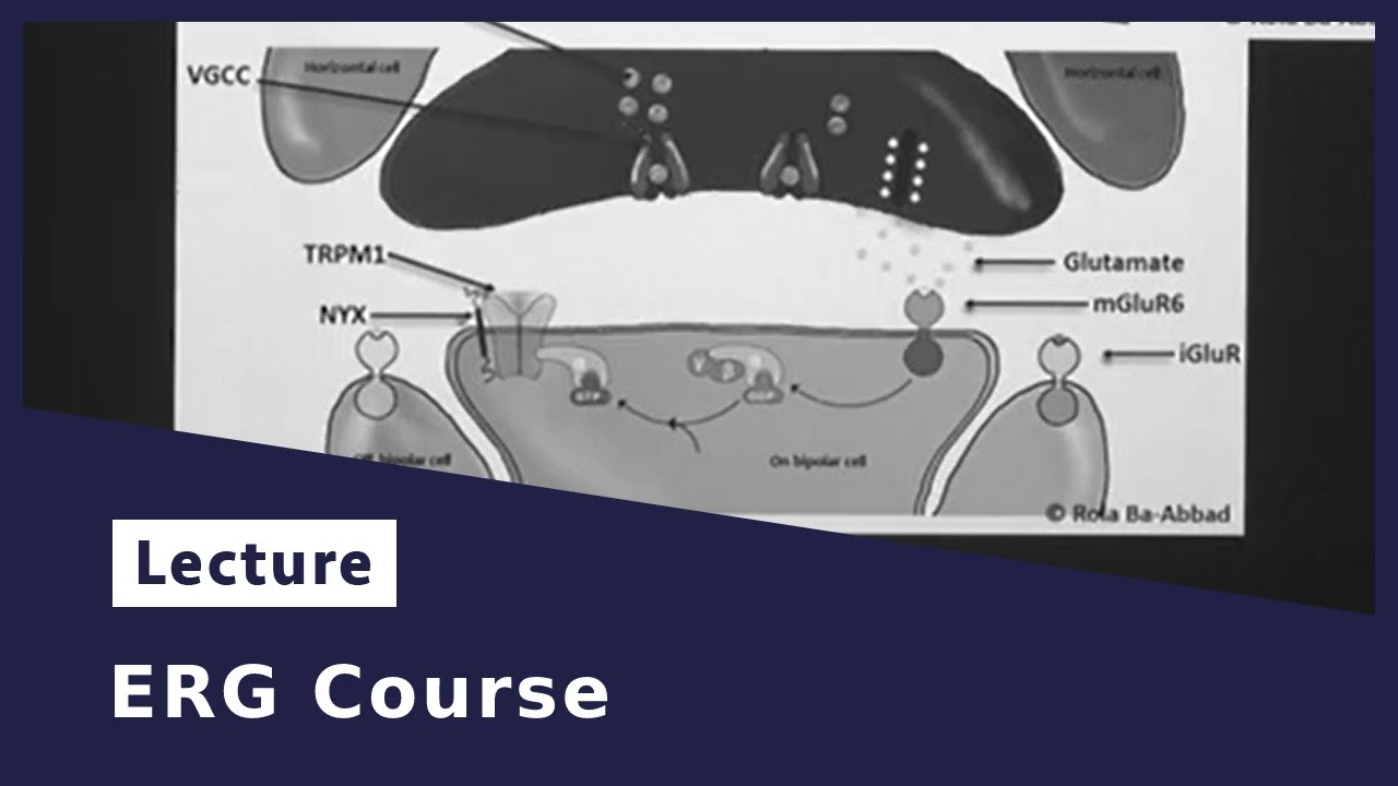 ERG Course