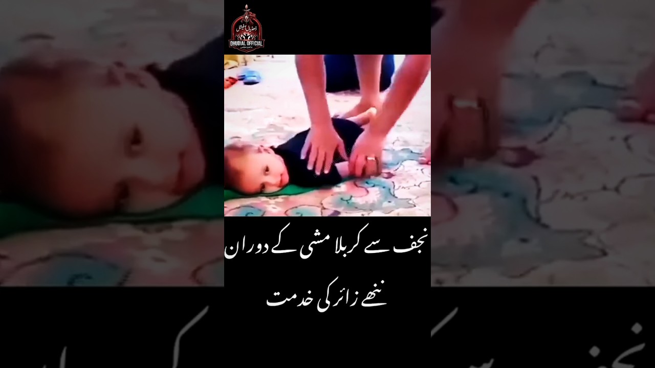 Noha Meri Kya Hai Khata arbaeen walk 2026 najaf to karbala #2026 #arbaeen #arbaeenwalk #baby