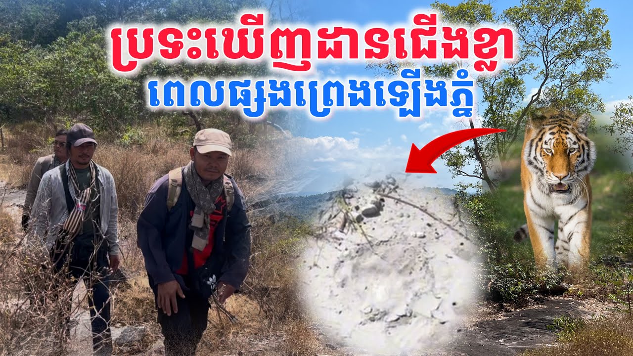 ប្រទះឃើញដានជើងខ្លាពេលផ្សងព្រេងឡើងភ្នំ