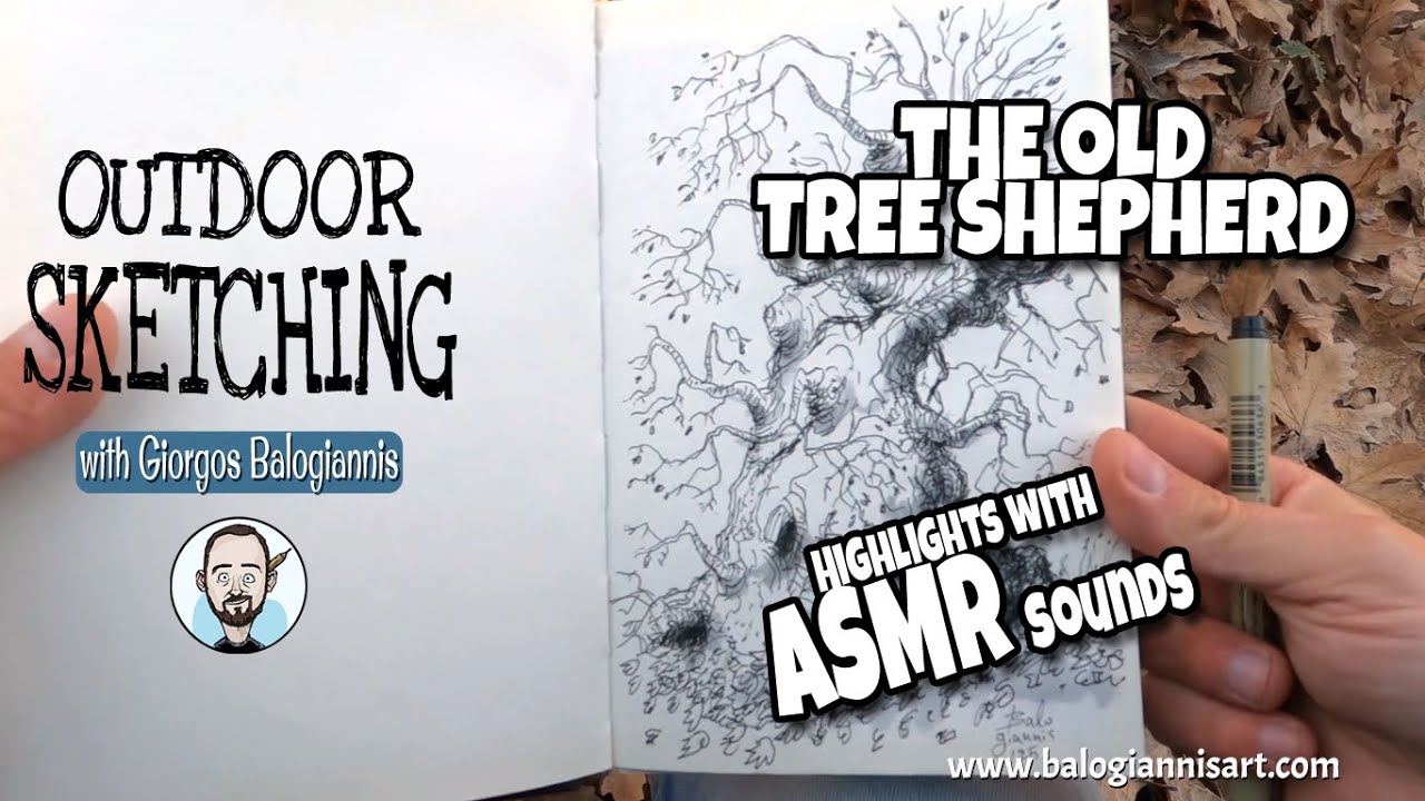 Outdoor Sketching: The Old Tree Shepherd Ink Drawing – Highlights with ASMR sounds