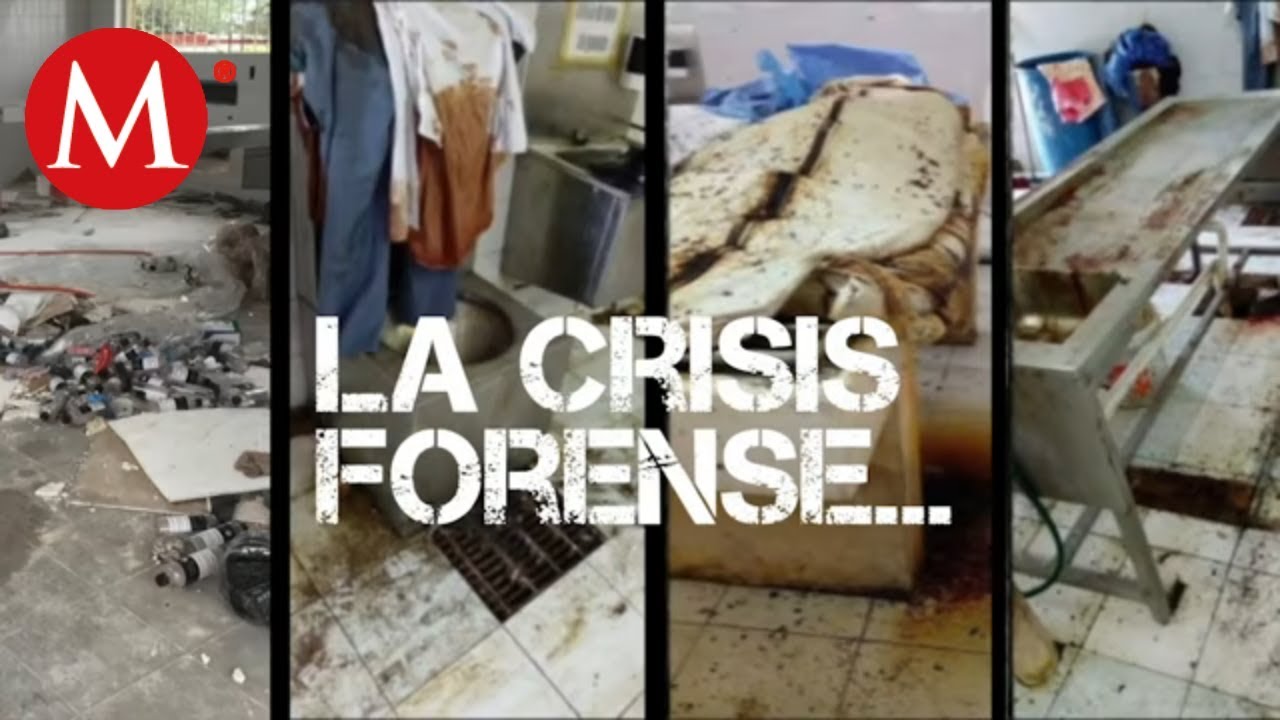 La crisis forense | Especiales Milenio