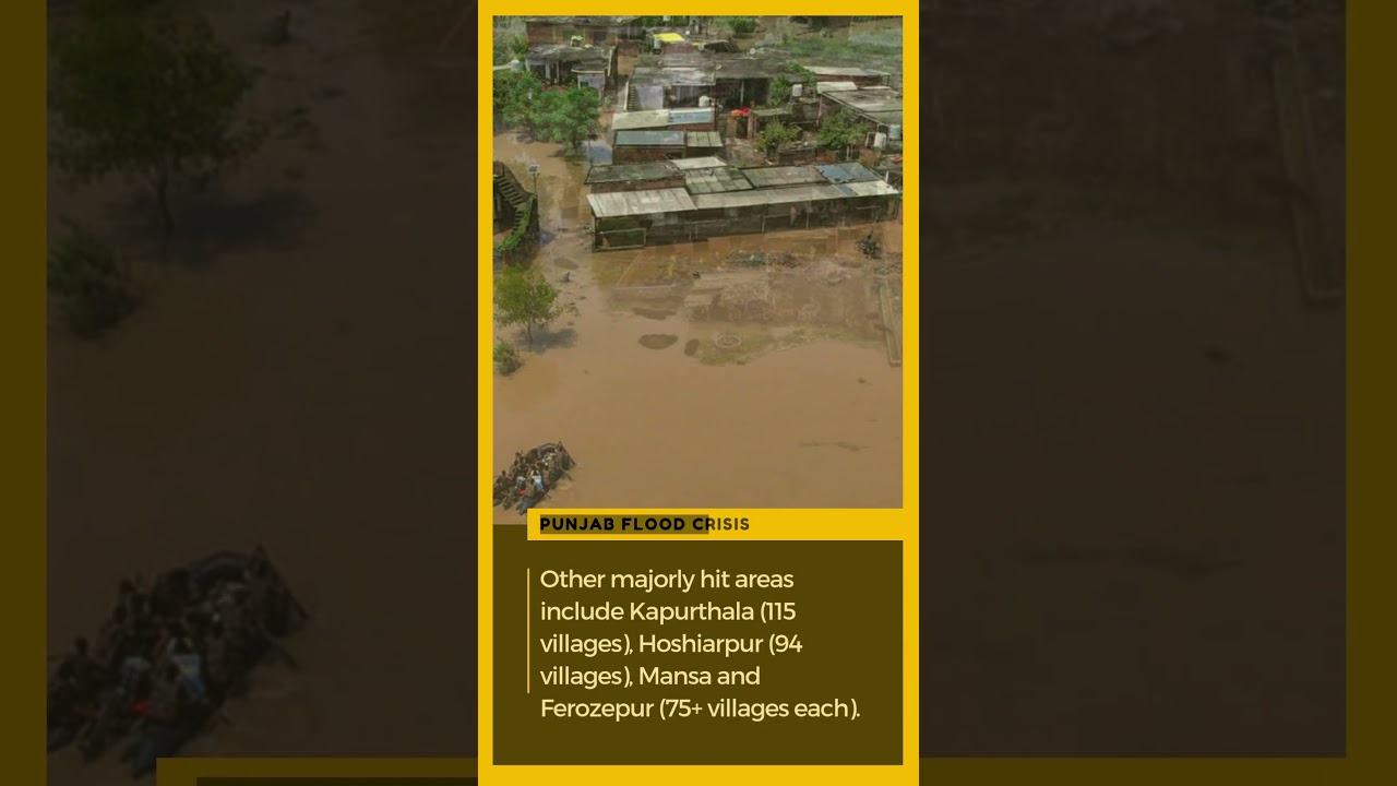 Punjab Flood Crisis: Over 700 Villages Submerged Across Multiple Districts