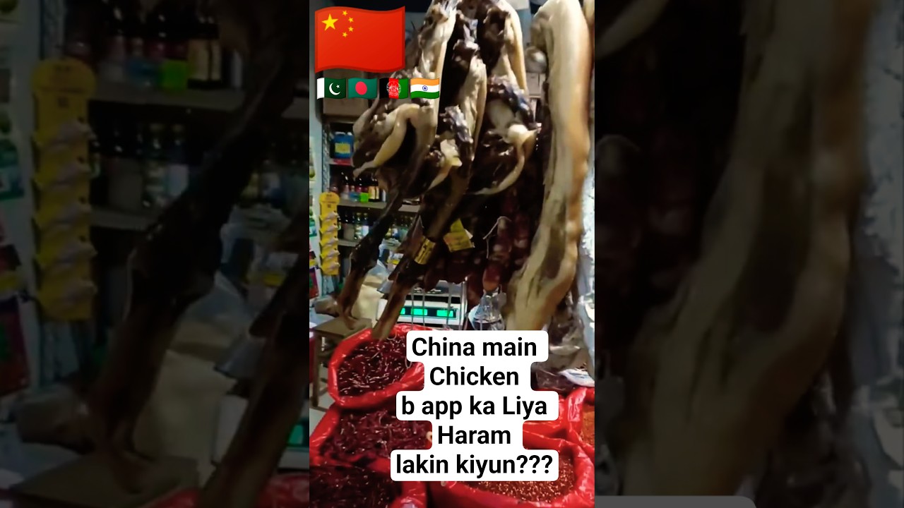 China aane walay Muslims yeh dekhein!🇨🇳🇨🇳             