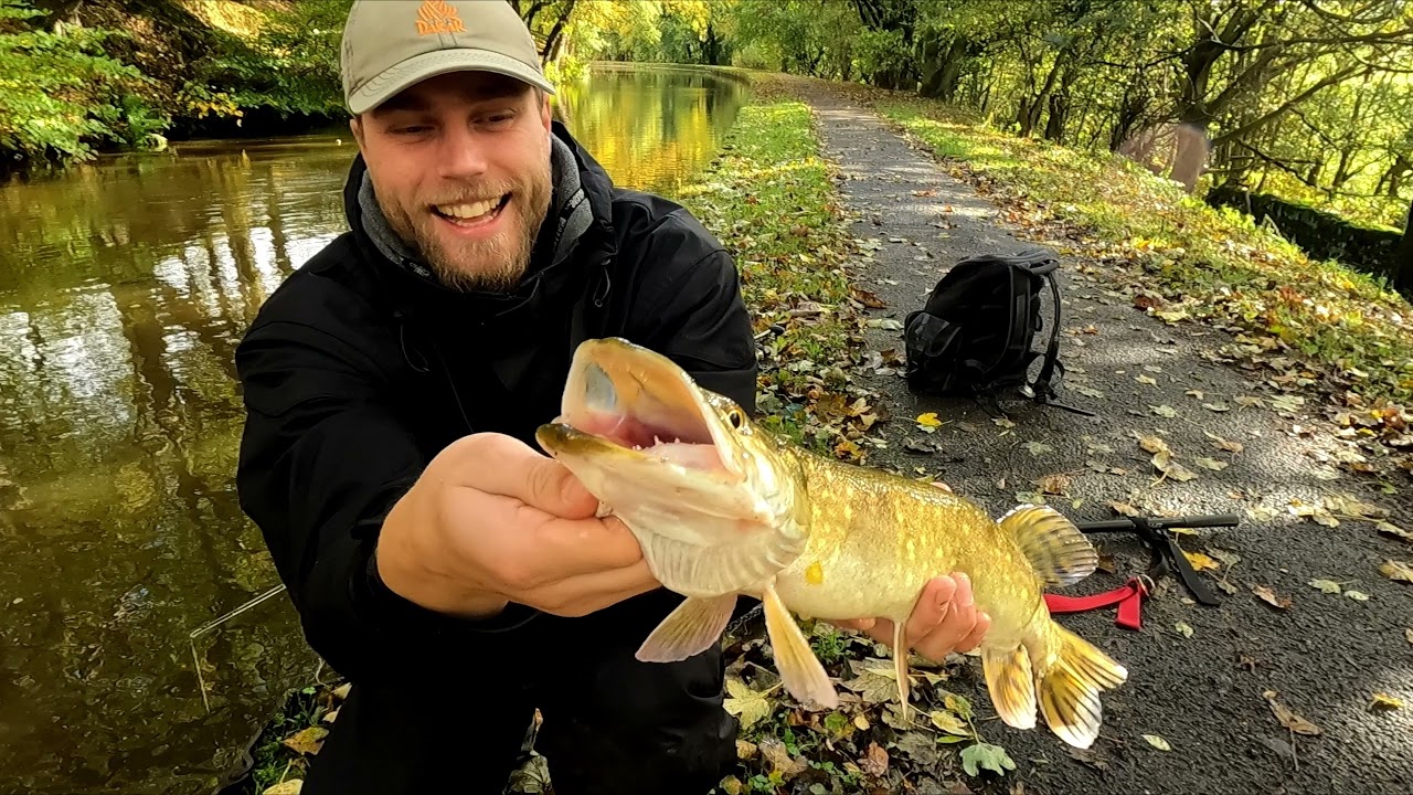 Catching Canal Pike!!! Broken Rod!!! Don't Buy!!!