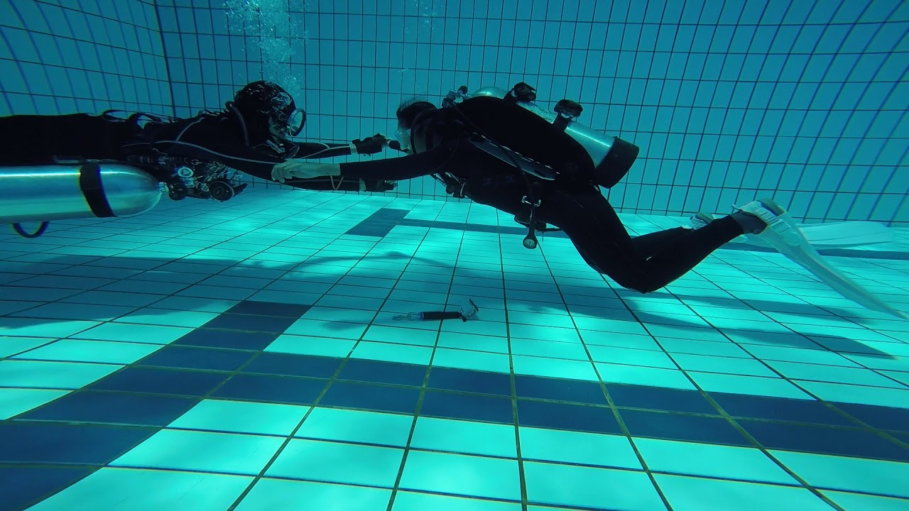 Fundamentals workshop Queenstown Dive Pool