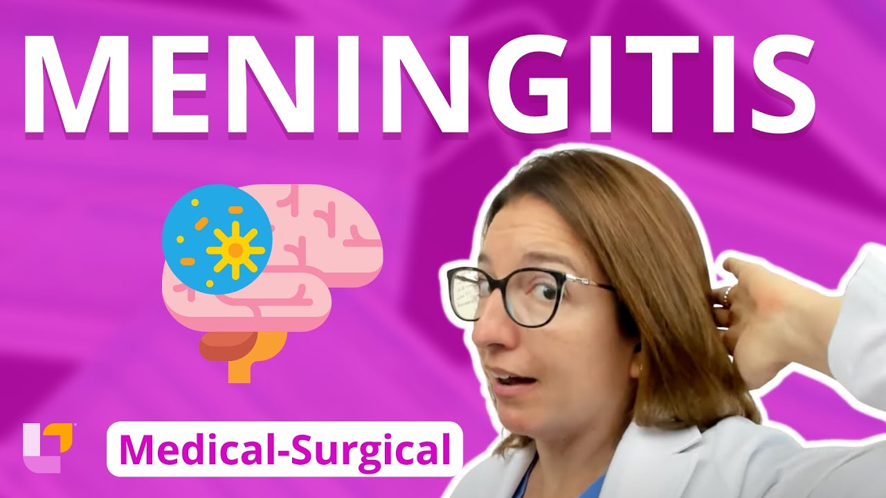 Meningitis - Medical-Surgical - Nervous System |  @LevelUpRN