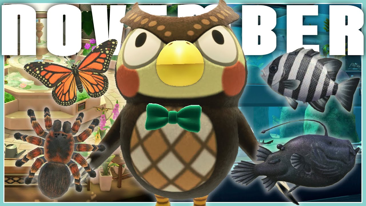 November Fish & Bug Guide | Animal Crossing New Horizons