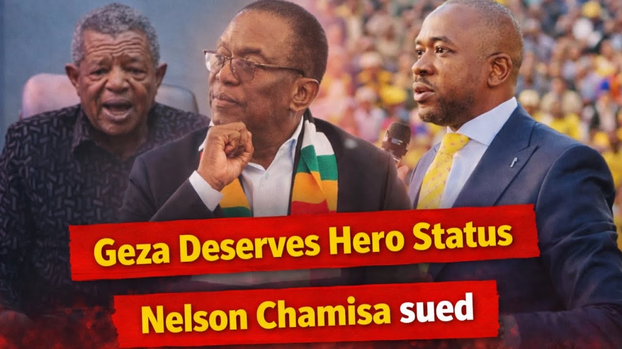 Will ED declare Geza a hero | Nelson Chamisa sued | Discussion