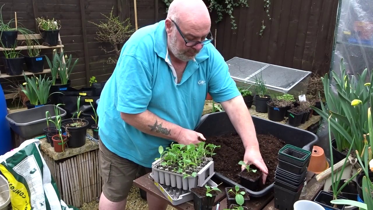 Agralan Propagator Update - Brilliant!