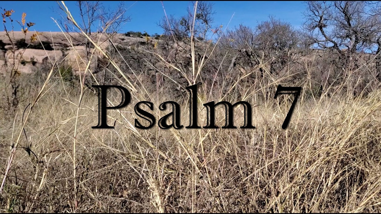 Psalm 7 ESV