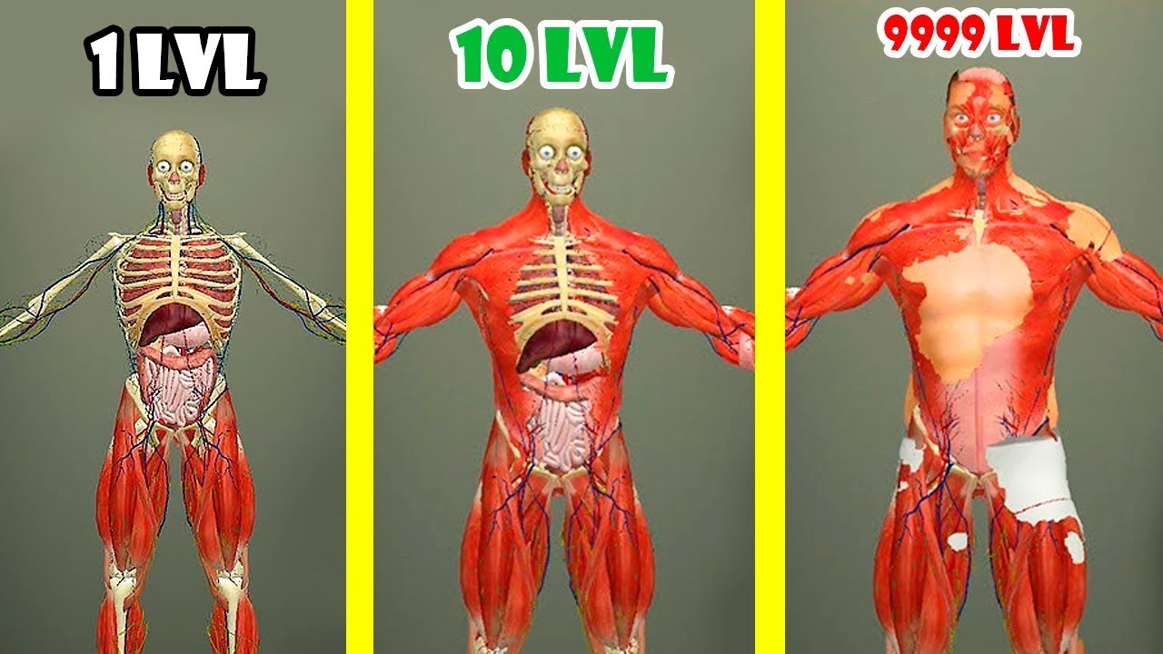 Idle Human Evolution! Create the Perfect Human! Max Level & Unlimited Diamonds Hack in Idle Human