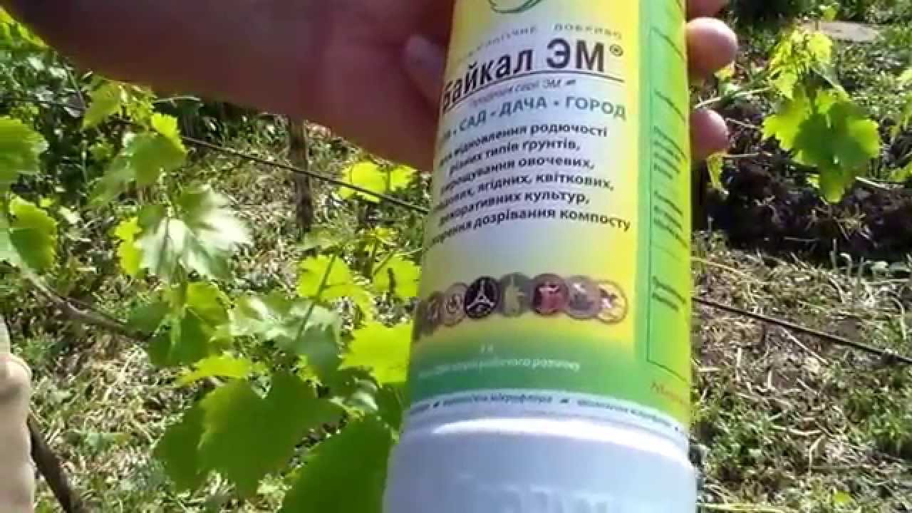 Переход на ЭМ технологии