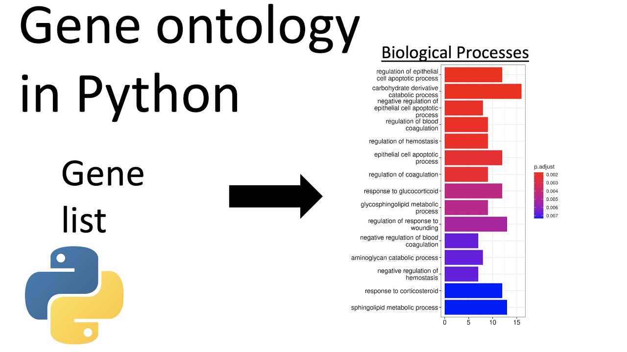 How to do gene ontology analysis in python