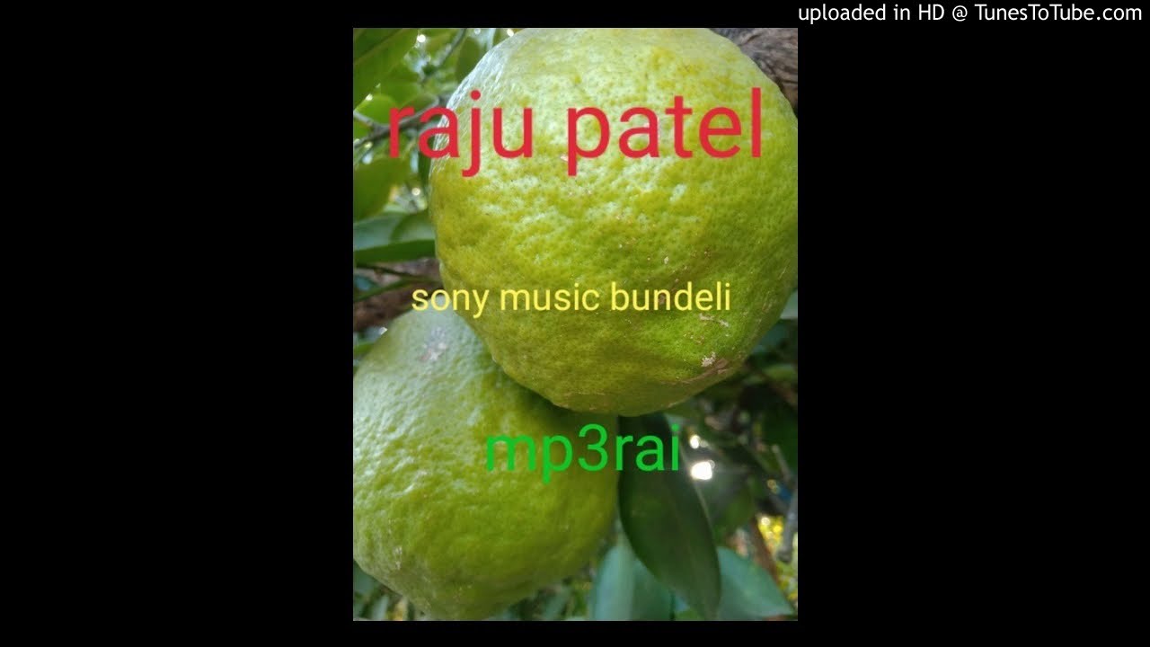 harani me pare ri our khud tum pari ho/raju patel rai/हैरानी में पारे और खुद तुम परीहो/राजू पटेल राई
