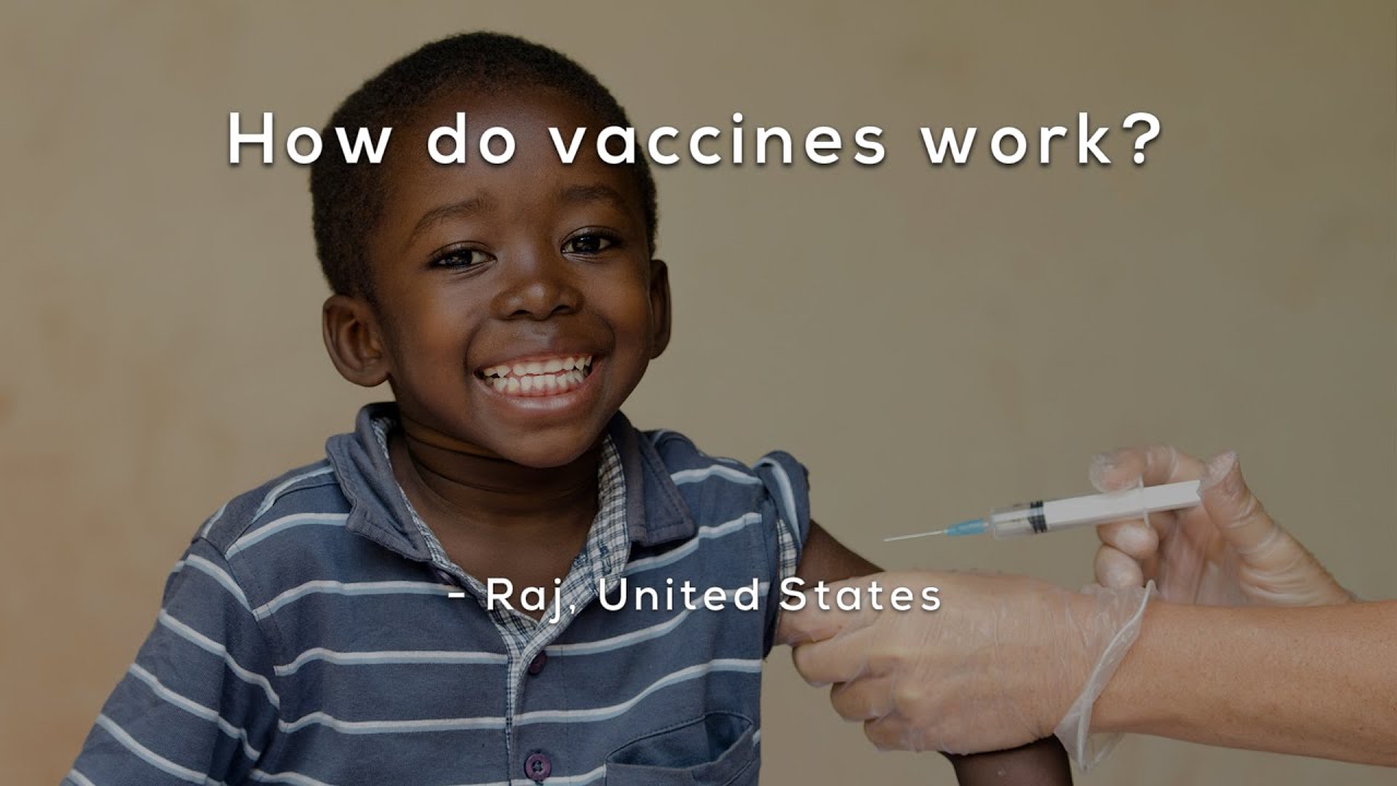 How do vaccines work?