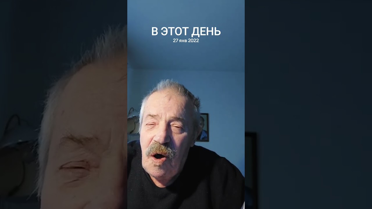 Дельфинёнок