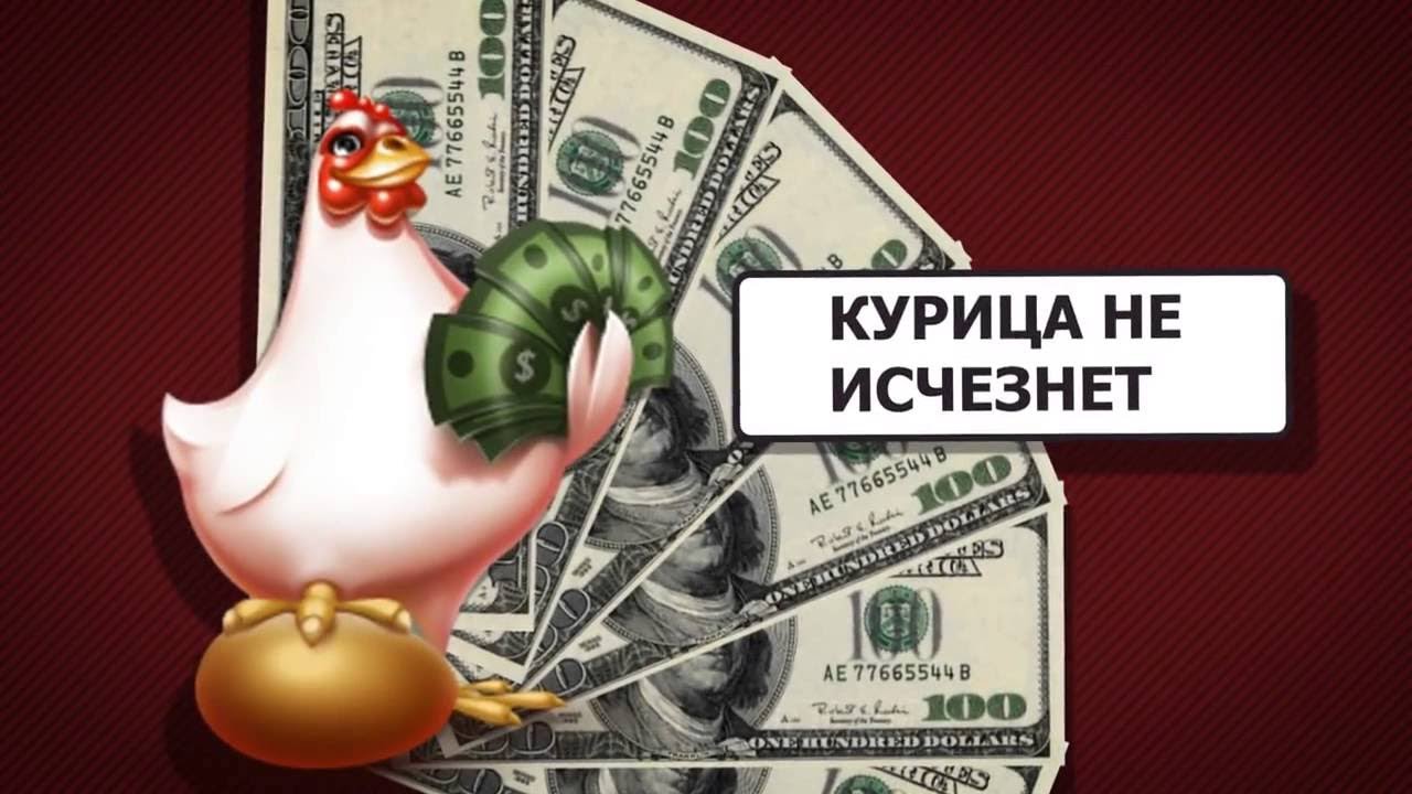 Выгодно ли держать кур несушек? Моё мнение.