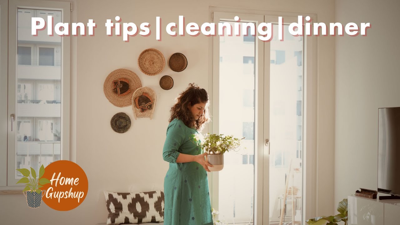 Уход за растениями: простые советы, рецепт вкусного ужина и уборка дома