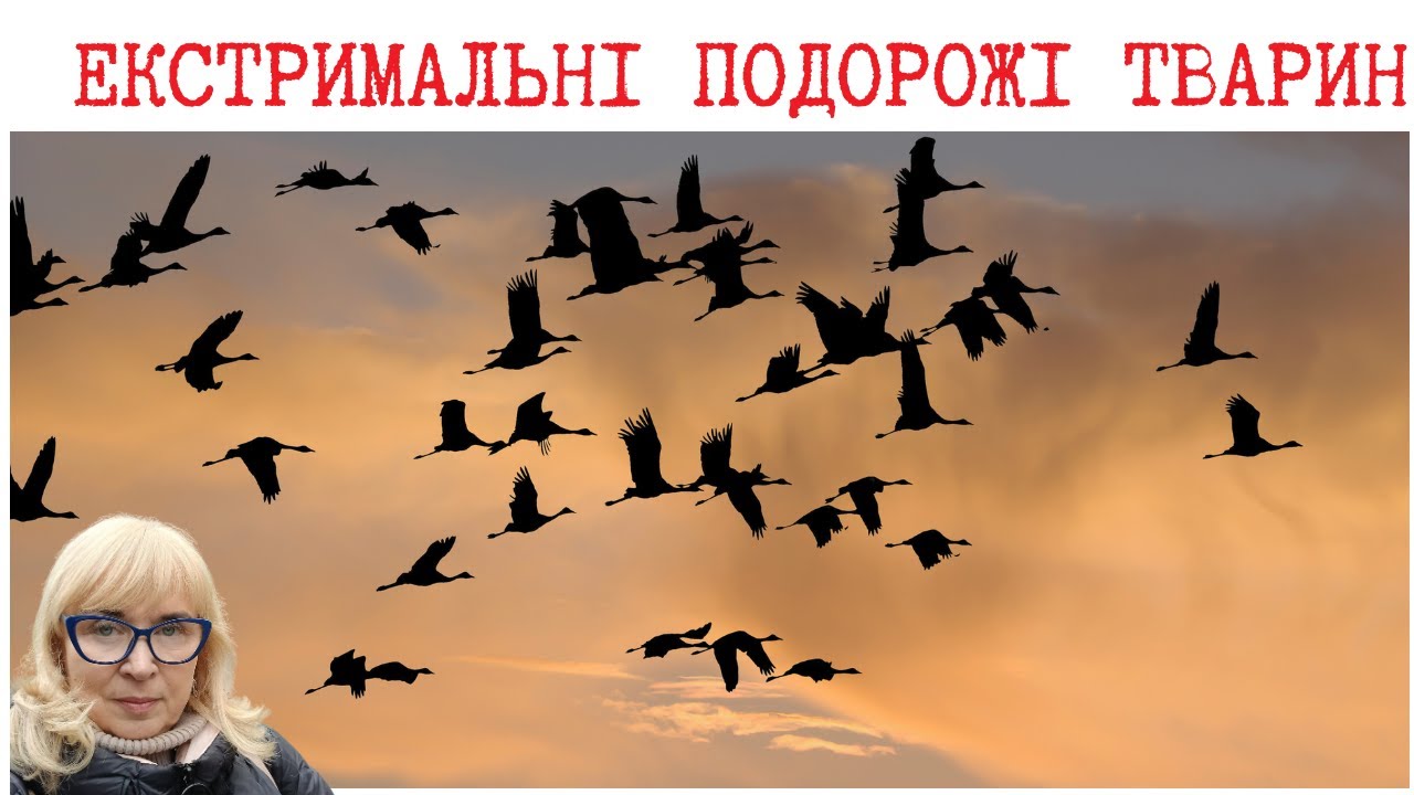 ЕКСТРИМАЛЬНІ ПОДОРОЖІ ТВАРИН.