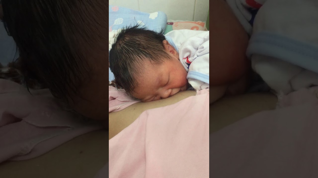 Cherry 1 ngày tuổi bú mẹ nè! (1 day old kid)