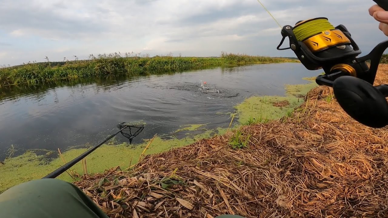 Nie ma to jak łowić na żywca 