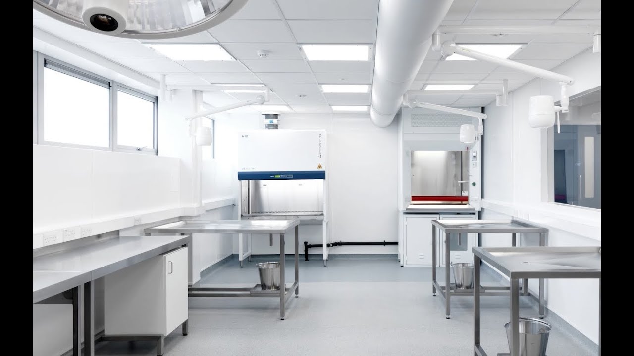 Discovering Veterinary Medicine and Science