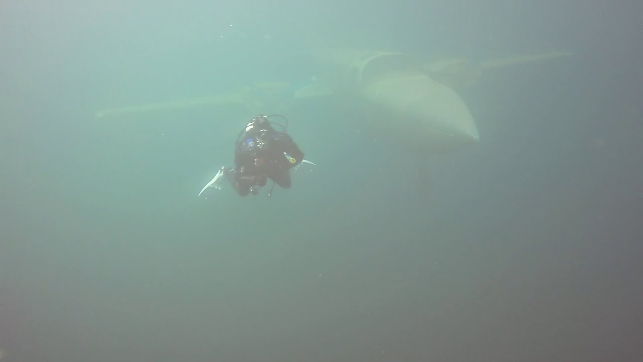 Tauchen im Kreidesee Hemmoor Juni 2025