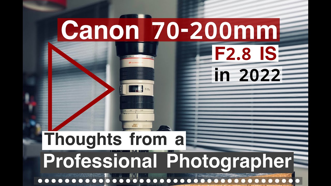 Canon EF 70-200mm F2.8 IS в 2022 году. Размышления профессионального фотографа после 15 лет работы