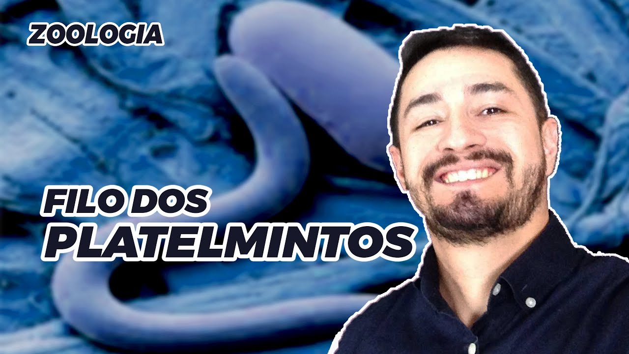 ZOOLOGIA | FILO PLATELMINTOS