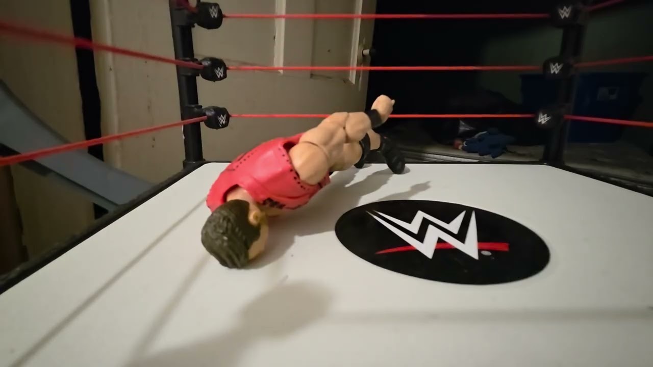 Roman reigns versus LA knight (sorry for the bad view the best I could get)