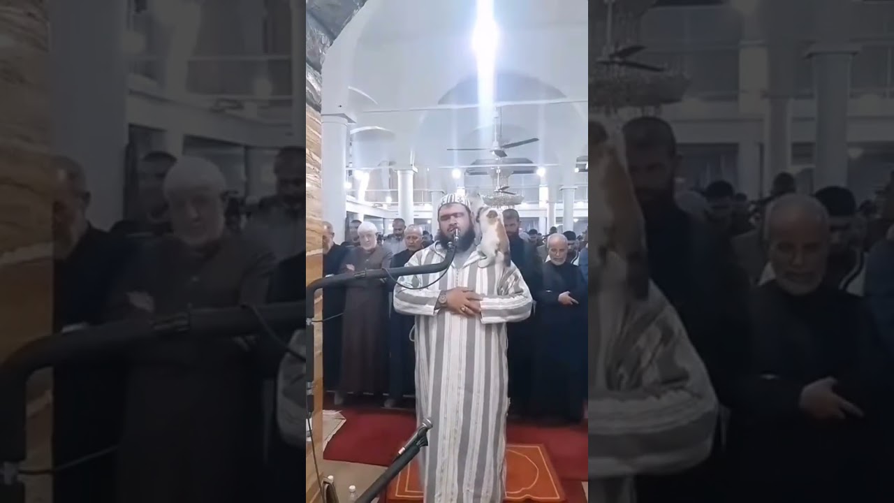 A Cat Jumps on Imam 's Shoulder During Prayer || See His Kind Reaction #imam and cat
