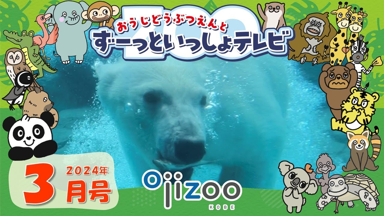 ＃12　おうじどうぶつえんとずーっといっしょテレビ（2024年3月放送）