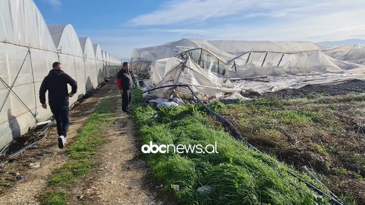 Stuhitë e erës dëmtojnë serat, dëme të pariparueshme në Fier dhe Berat | ABC News Albania